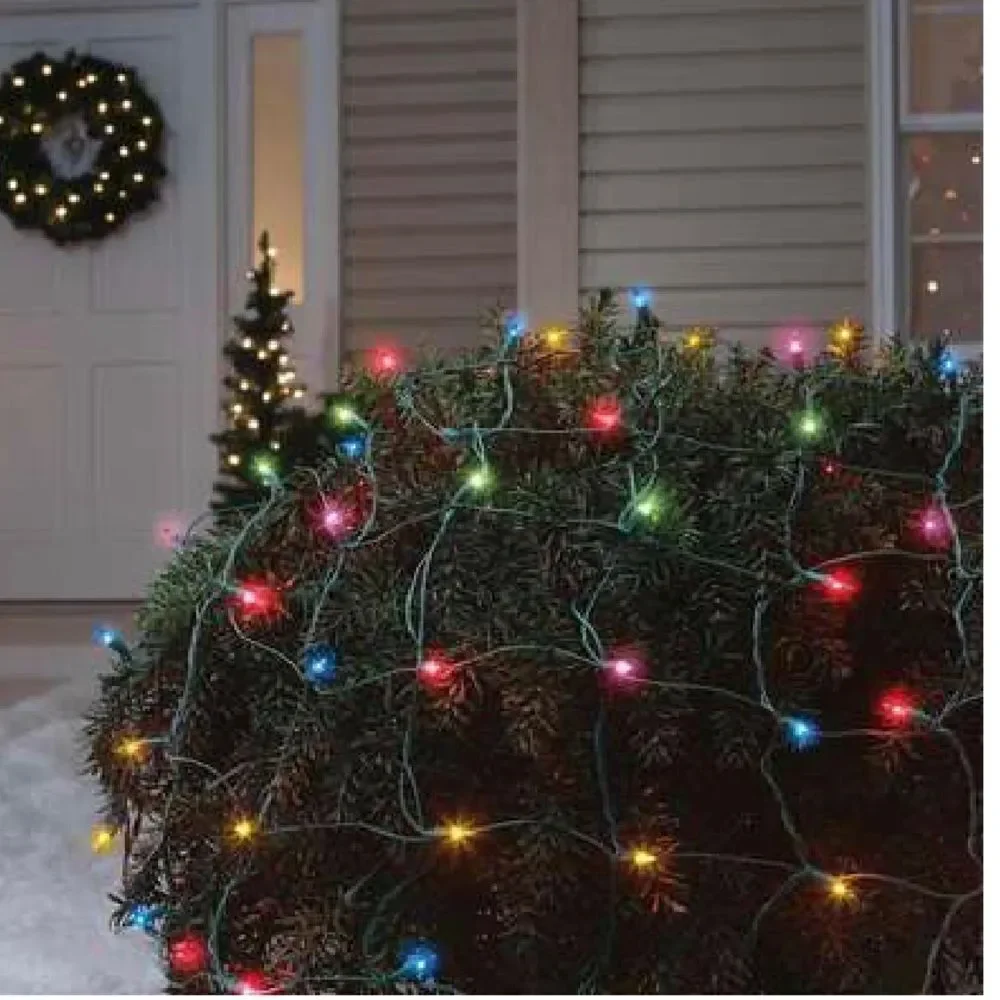 WonderShop indoor/outdoor clear net lights. 150 lights 4’X6’